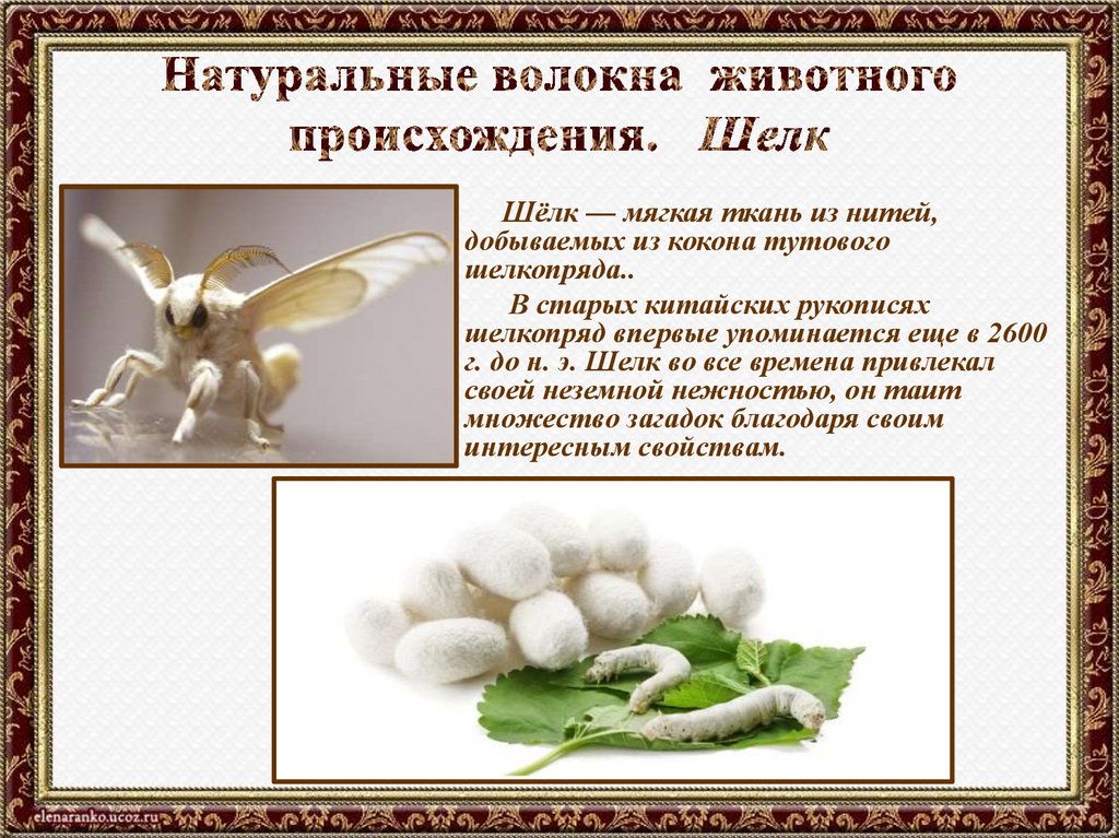 Натуральные волокна животного происхождения. Шелк