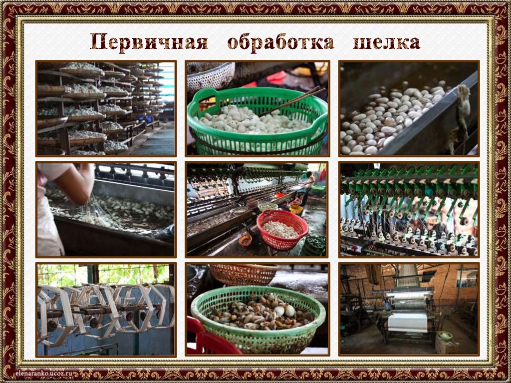 Первичная обработка шелка