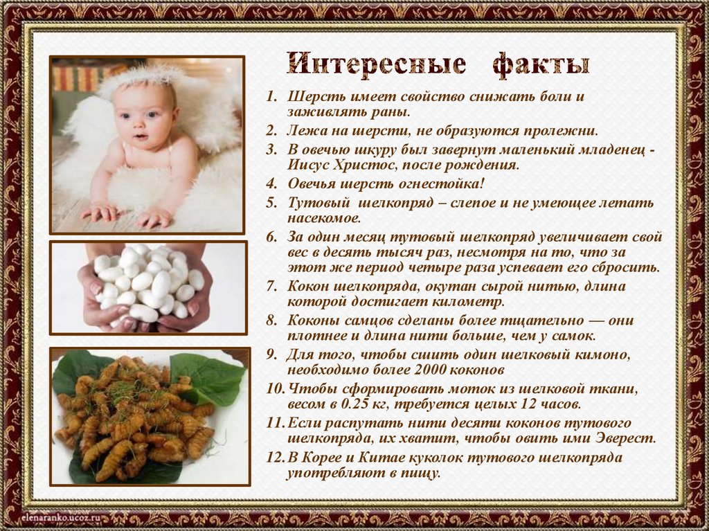 Интересные факты