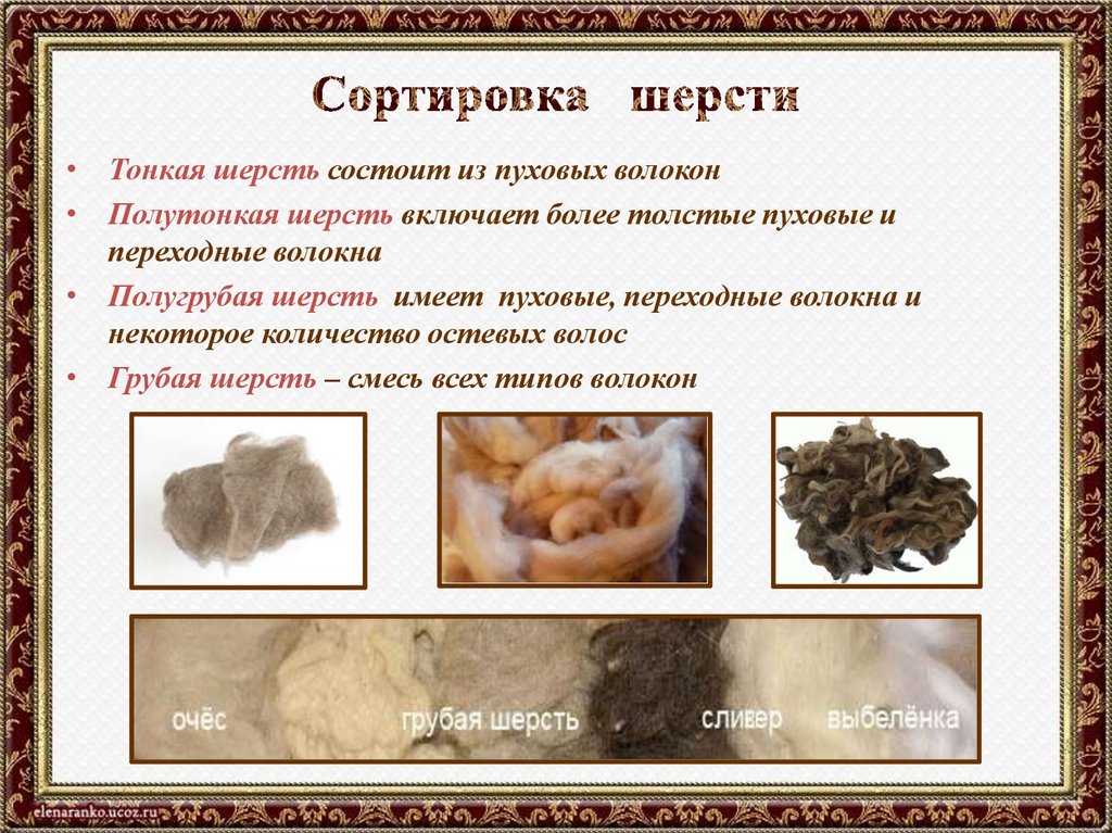 Сортировка шерсти