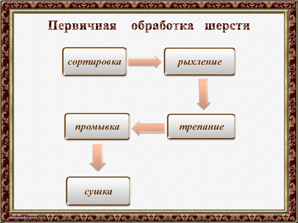 Первичная обработка шерсти