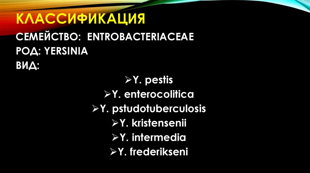 Классификация