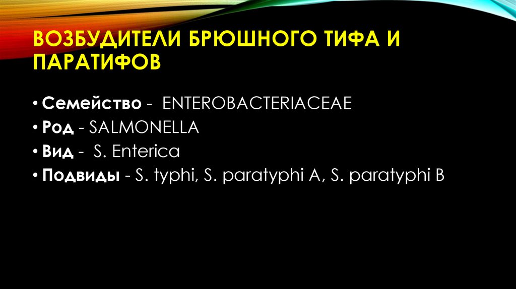 ВозбудителИ брюшного тиФА и паратифов