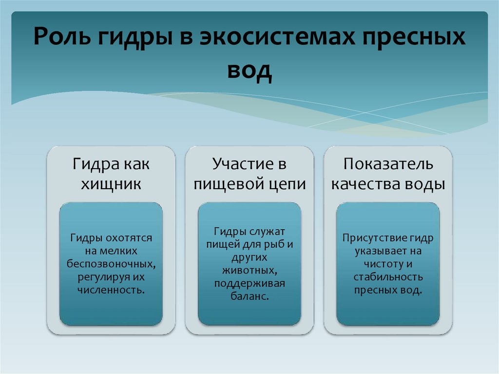 Роль гидры в экосистемах пресных вод