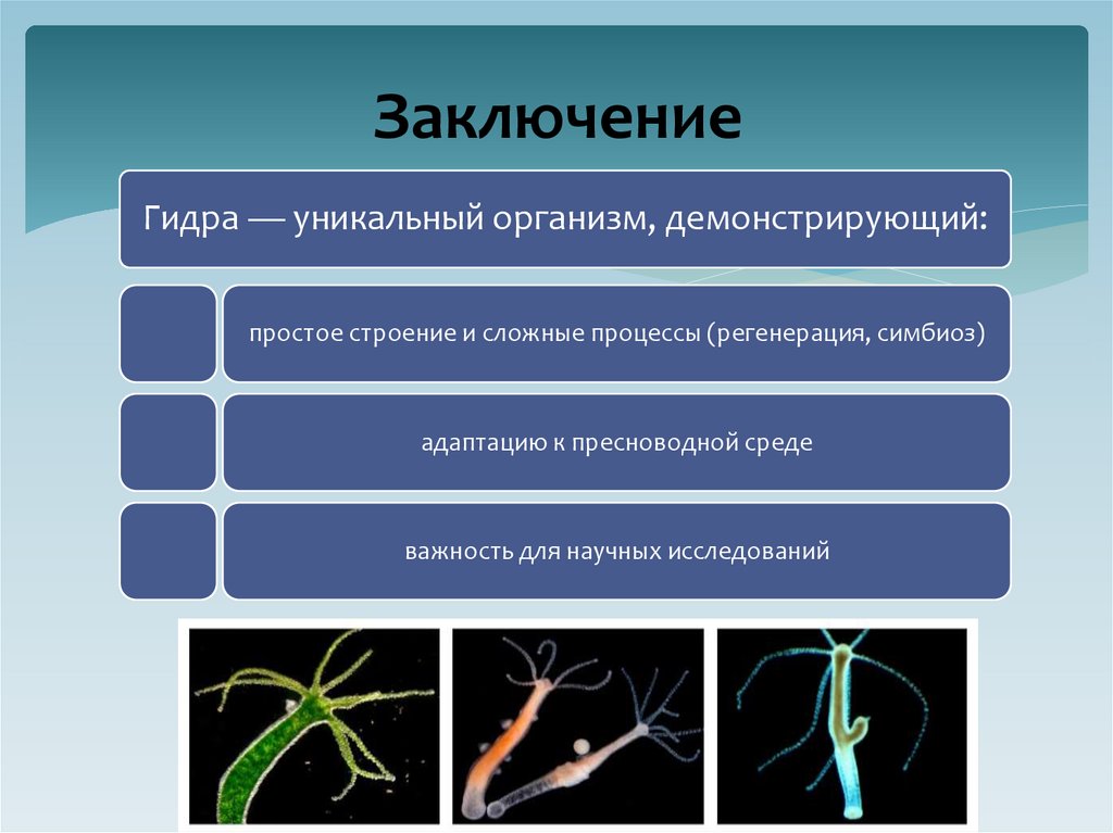 Заключение