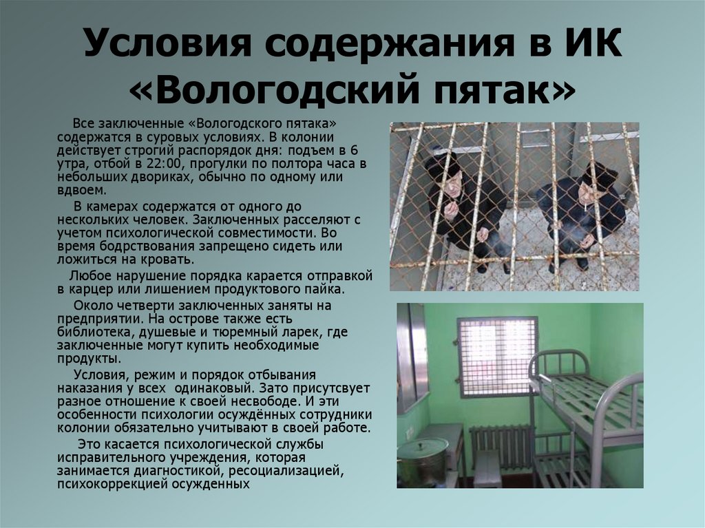 Условия содержания в ИК «Вологодский пятак»