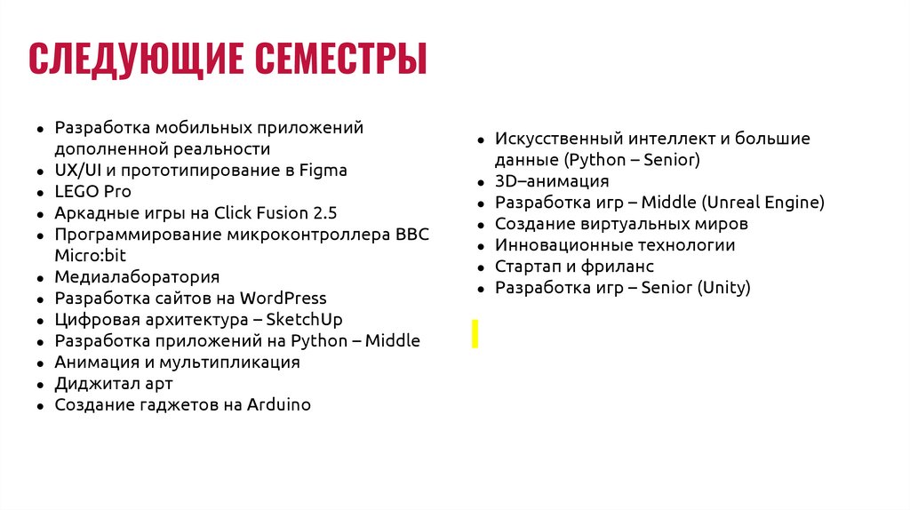 СЛЕДУЮЩИЕ СЕМЕСТРЫ