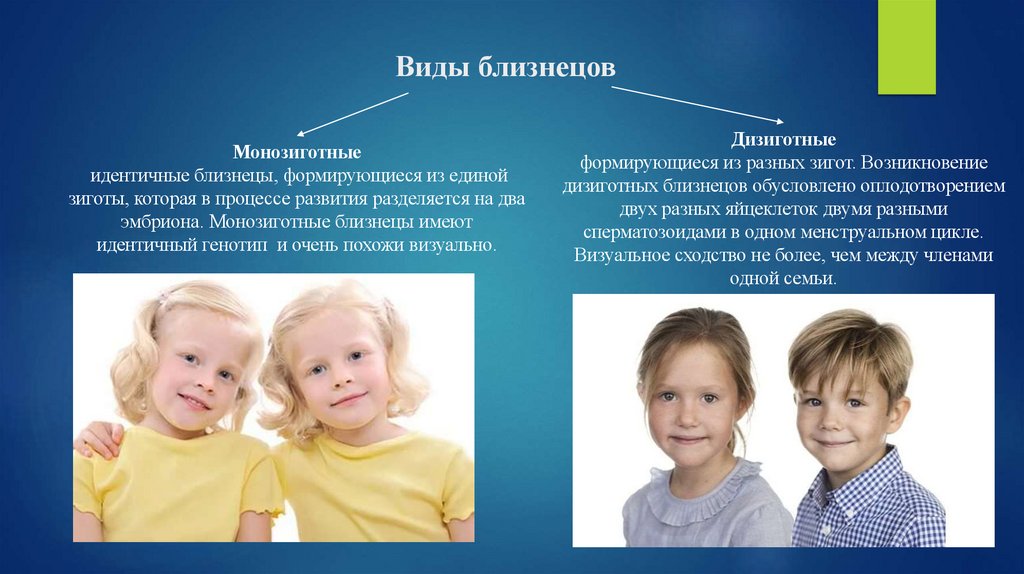 Виды близнецов