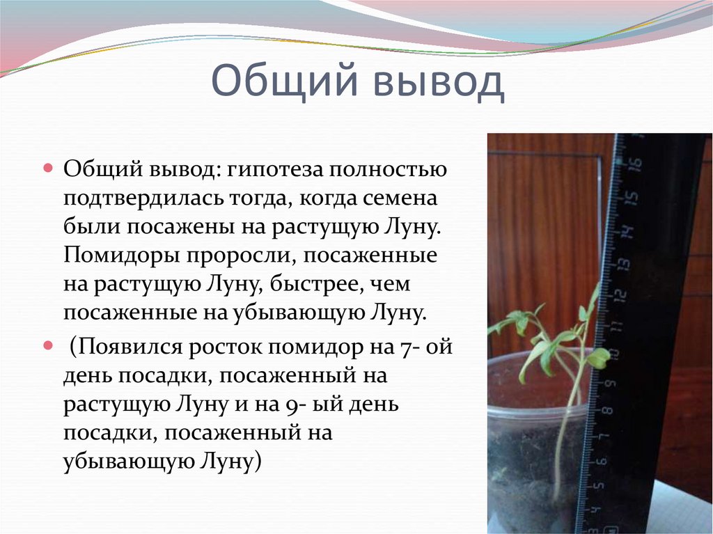 Общий вывод