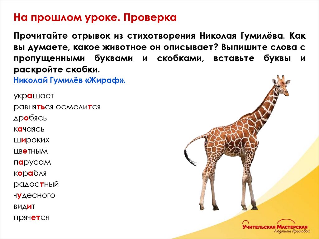 На прошлом уроке. Проверка