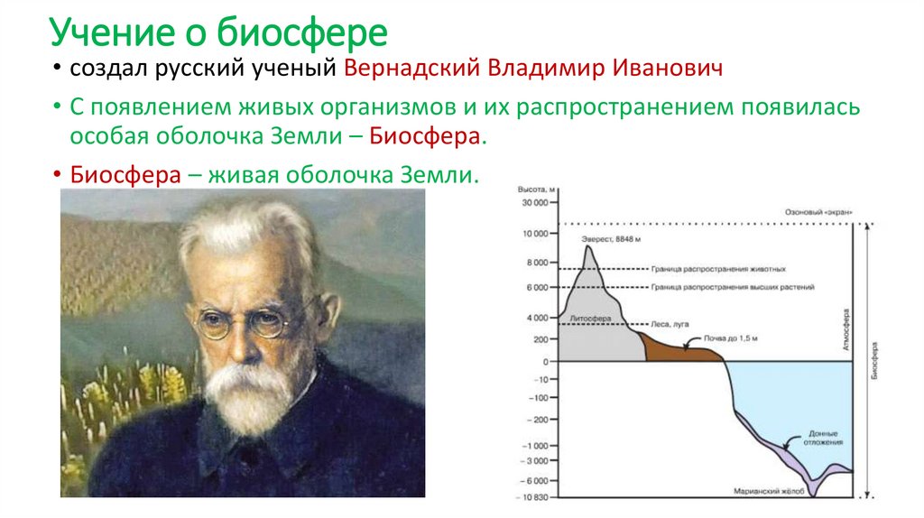 Учение о биосфере
