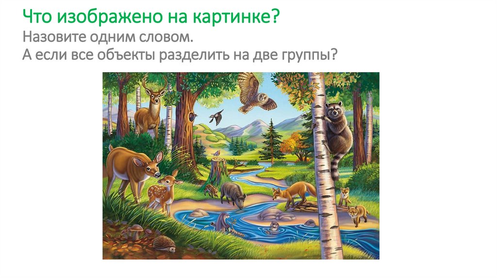 Что изображено на картинке? Назовите одним словом. А если все объекты разделить на две группы?