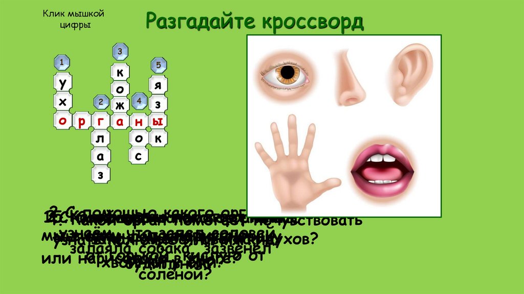 Разгадайте кроссворд