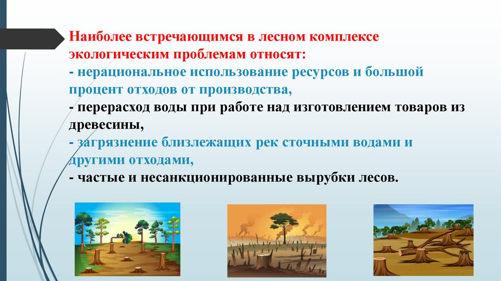 Наиболее встречающимся в лесном комплексе экологическим проблемам относят: - нерациональное использование ресурсов и большой