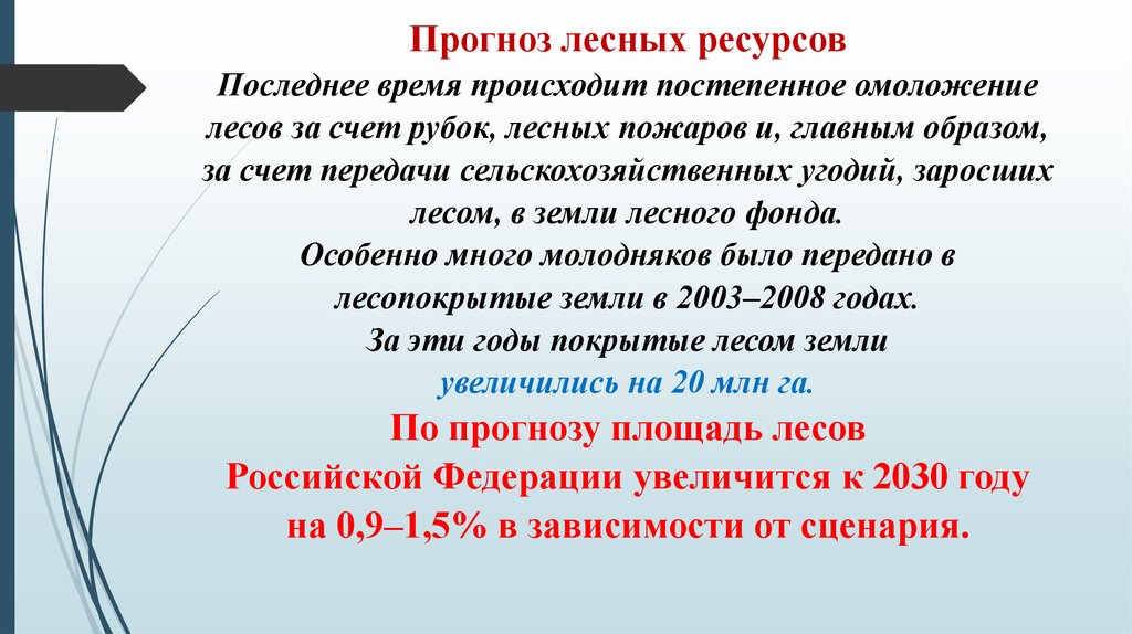 Прогноз лесных ресурсов Последнее время происходит постепенное омоложение лесов за счет рубок, лесных пожаров и, главным