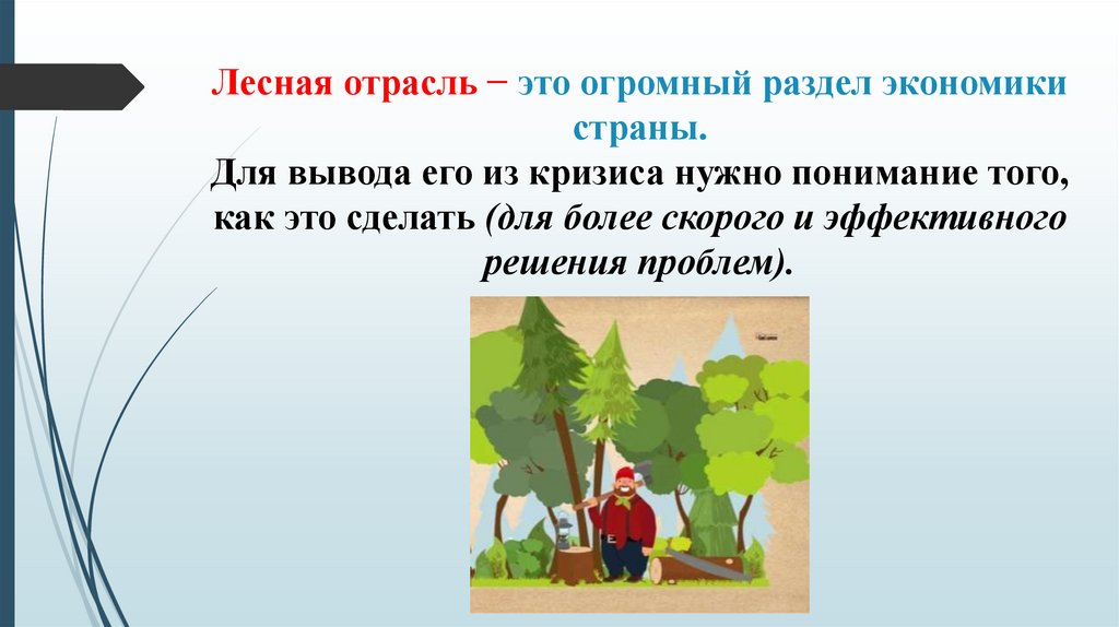 Лесная отрасль − это огромный раздел экономики страны. Для вывода его из кризиса нужно понимание того, как это сделать (для