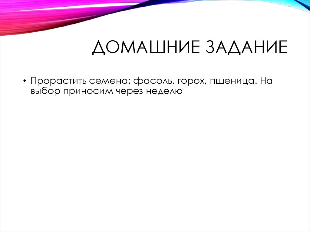 Домашние задание