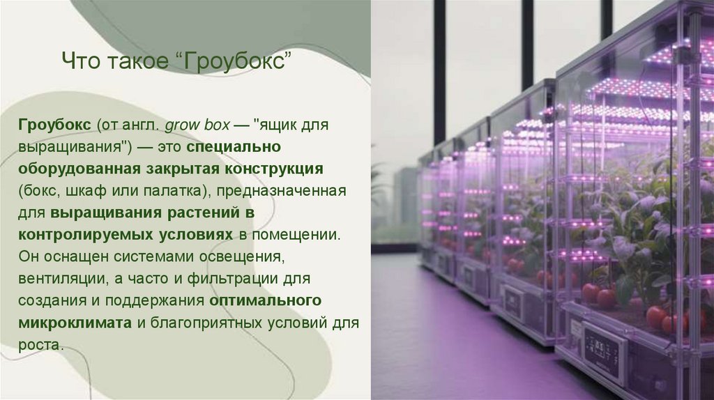 Что такое “Гроубокс”