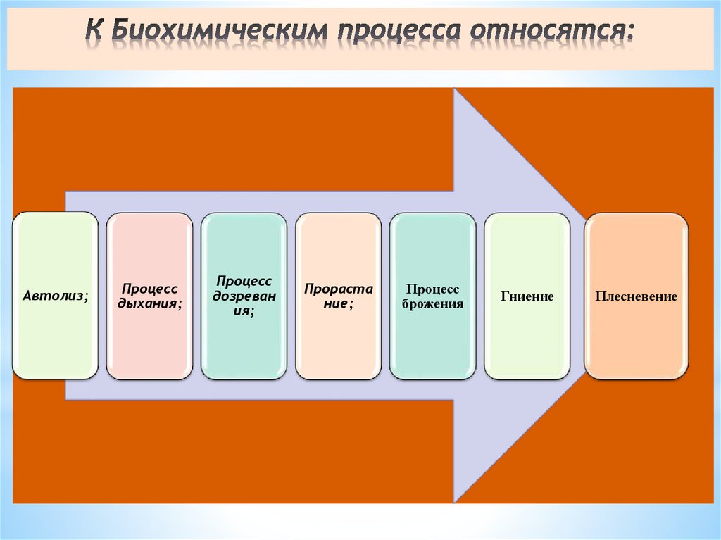 К Биохимическим процесса относятся: