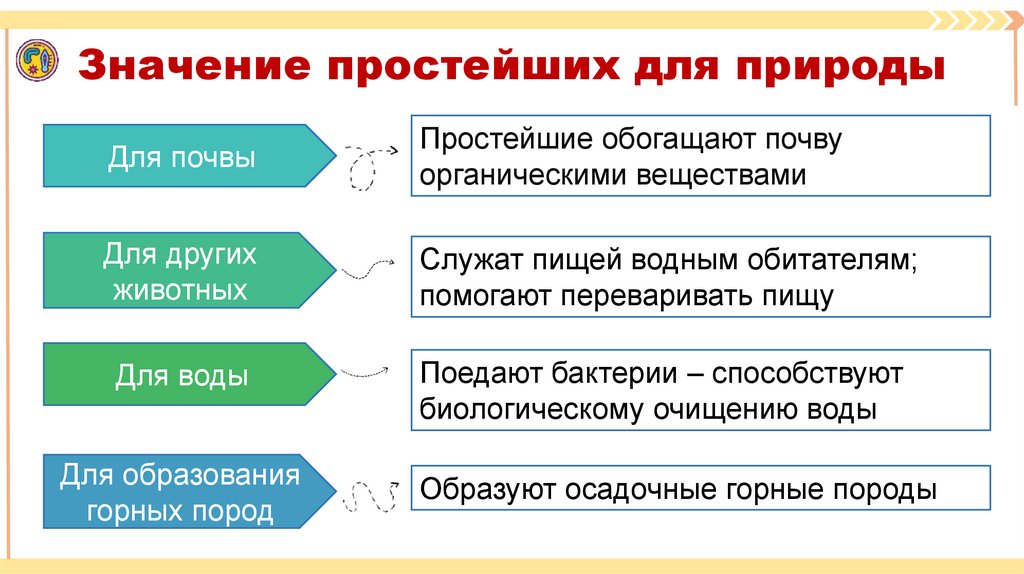 Значение простейших для природы