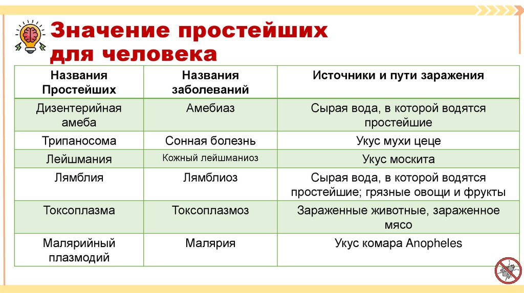 Значение простейших для человека