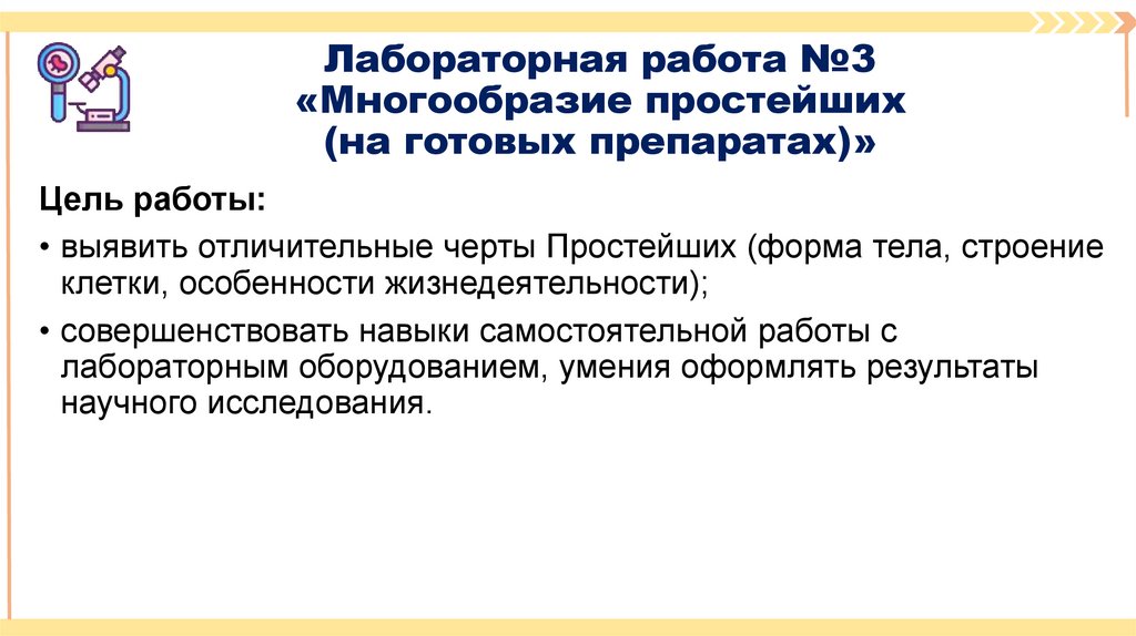 Лабораторная работа №3 «Многообразие простейших (на готовых препаратах)»