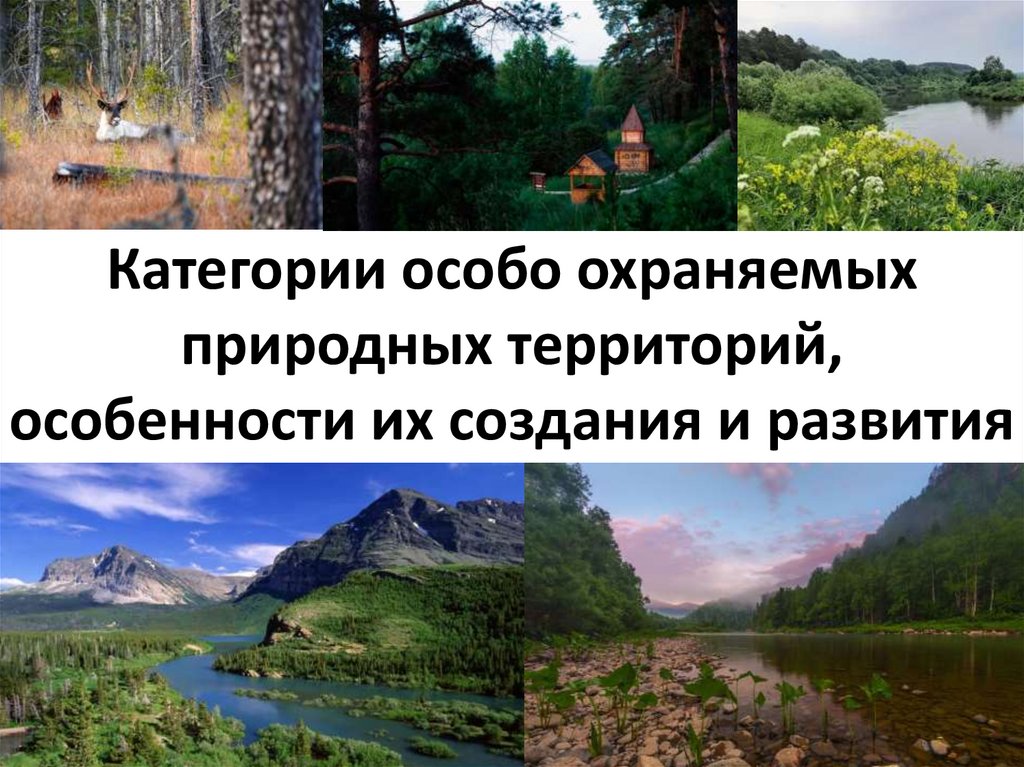 Категории особо охраняемых природных территорий, особенности их создания и развития