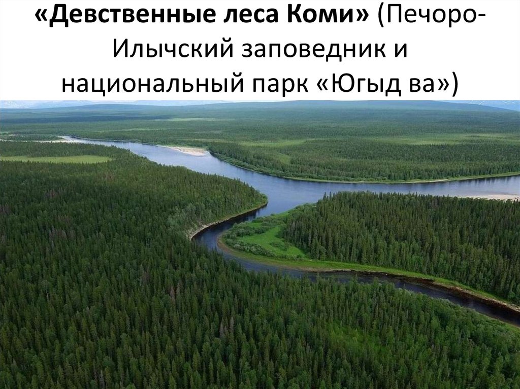 «Девственные леса Коми» (Печоро-Илычский заповедник и национальный парк «Югыд ва»)