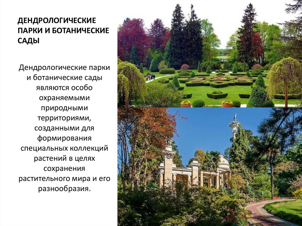 ДЕНДРОЛОГИЧЕСКИЕ ПАРКИ И БОТАНИЧЕСКИЕ САДЫ