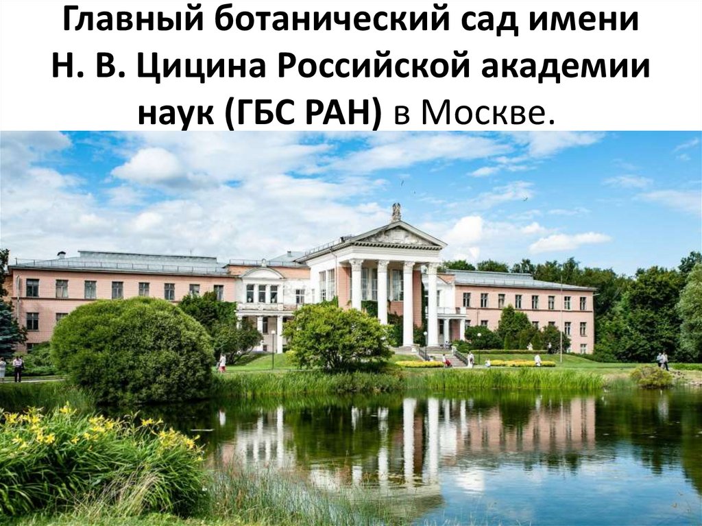 Главный ботанический сад имени Н. В. Цицина Российской академии наук (ГБС РАН) в Москве. 