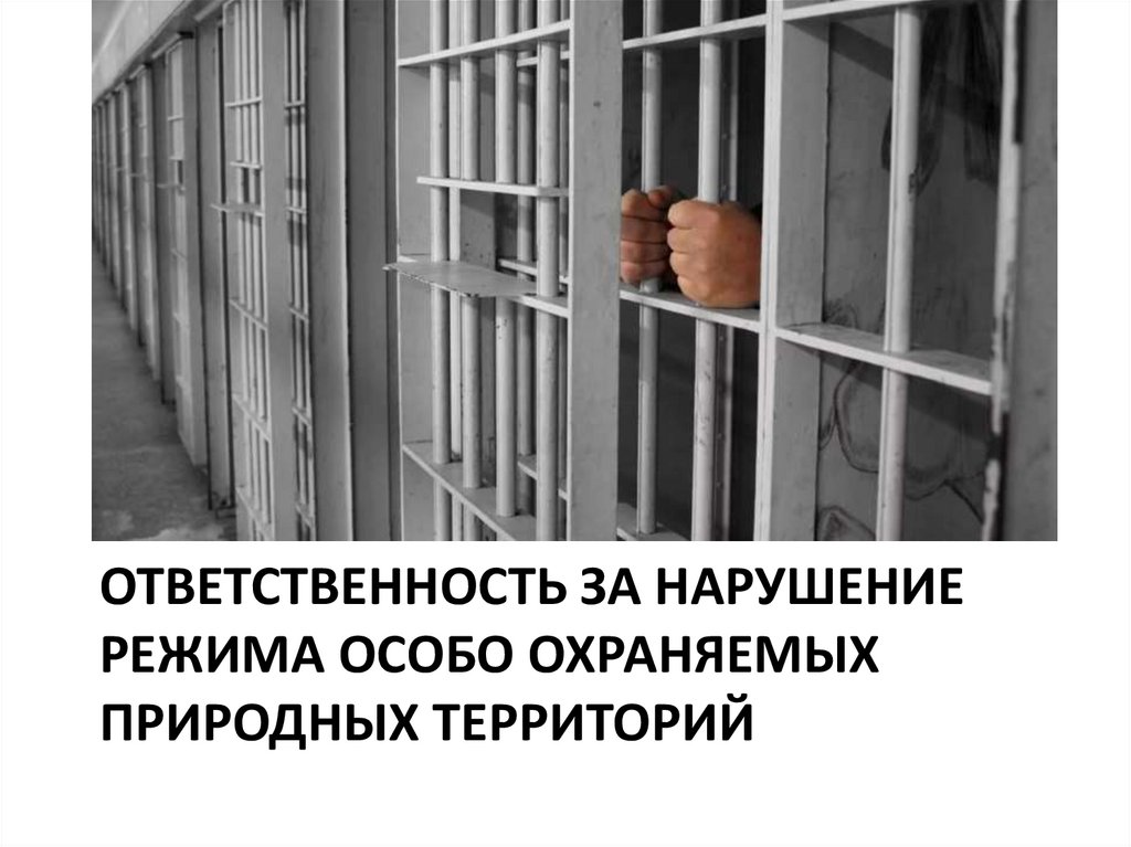 ОТВЕТСТВЕННОСТЬ ЗА НАРУШЕНИЕ РЕЖИМА ОСОБО ОХРАНЯЕМЫХ ПРИРОДНЫХ ТЕРРИТОРИЙ