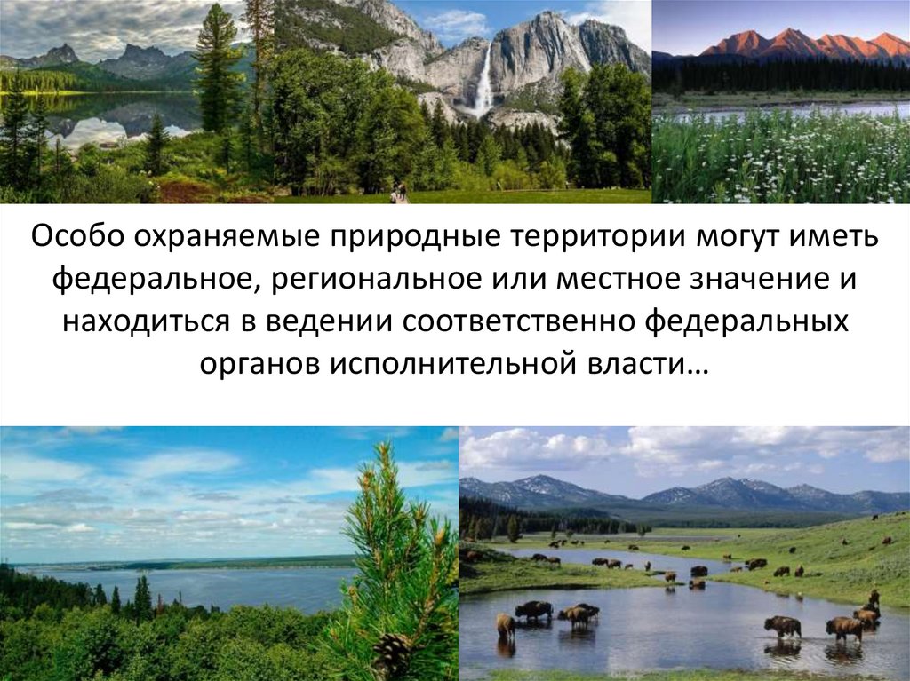 Особо охраняемые природные территории могут иметь федеральное, региональное или местное значение и находиться в ведении