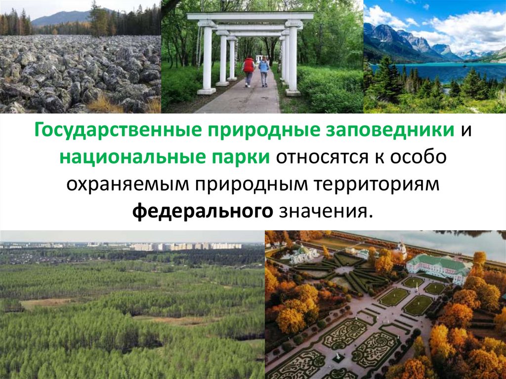Государственные природные заповедники и национальные парки относятся к особо охраняемым природным территориям федерального