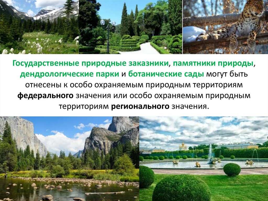 Государственные природные заказники, памятники природы, дендрологические парки и ботанические сады могут быть отнесены к особо