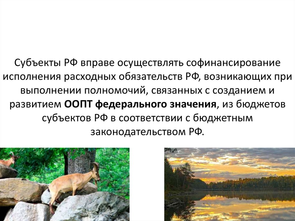 Субъекты РФ вправе осуществлять софинансирование исполнения расходных обязательств РФ, возникающих при выполнении полномочий,