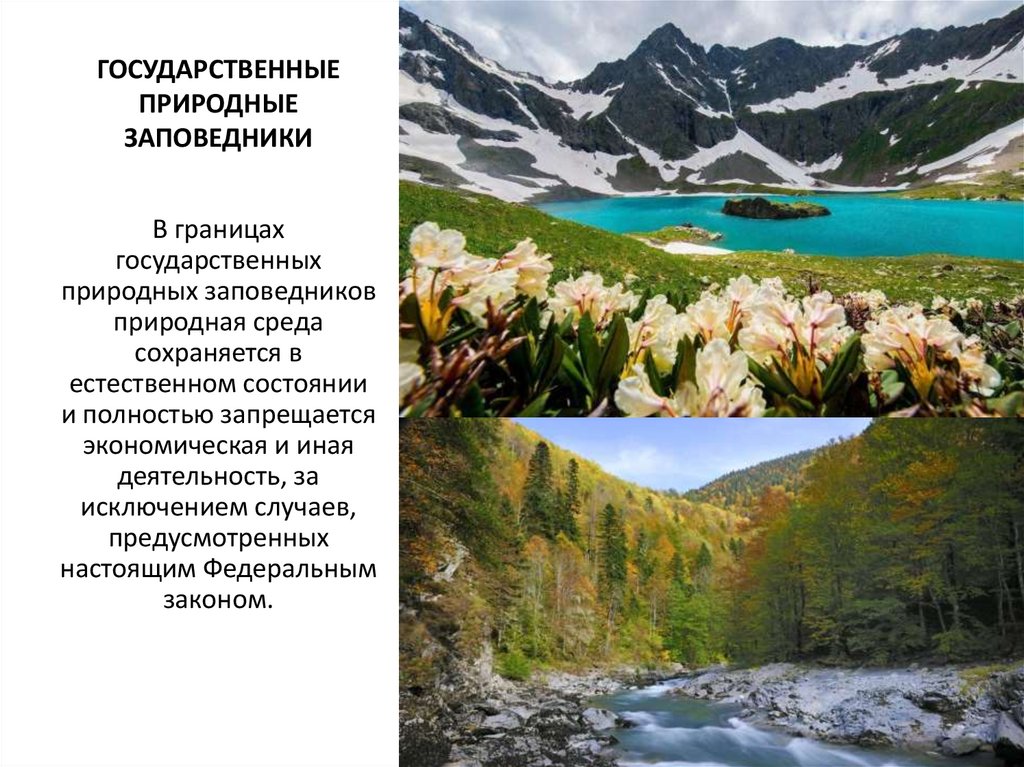 ГОСУДАРСТВЕННЫЕ ПРИРОДНЫЕ ЗАПОВЕДНИКИ