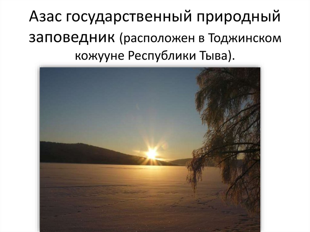 Азас государственный природный заповедник (расположен в Тоджинском кожууне Республики Тыва).