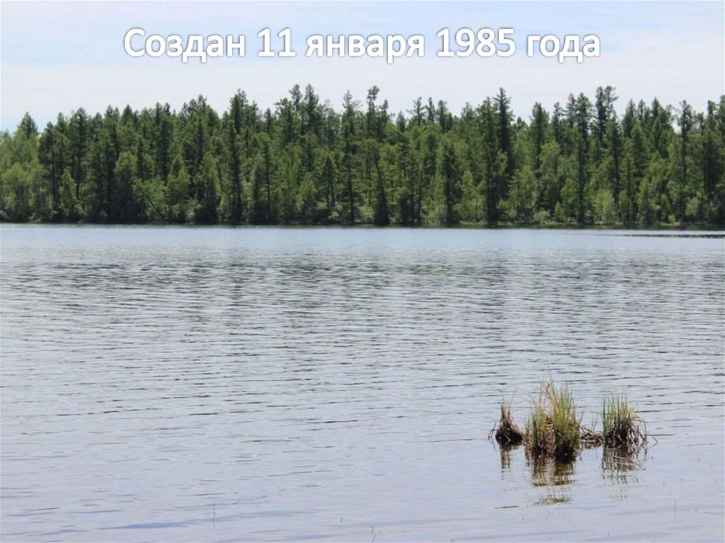 Создан 11 января 1985 года