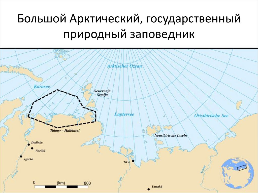 Большой Арктический, государственный природный заповедник