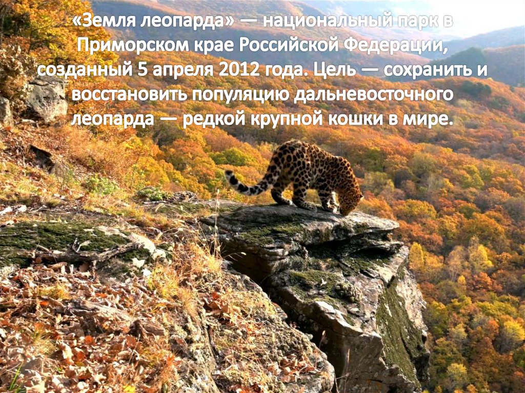 «Земля леопарда» — национальный парк в Приморском крае Российской Федерации, созданный 5 апреля 2012 года. Цель — сохранить и