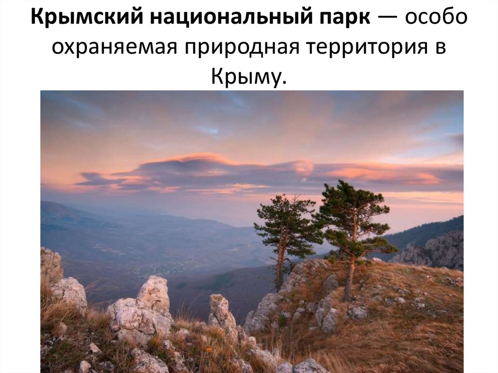 Крымский национальный парк — особо охраняемая природная территория в Крыму.