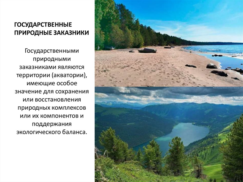 ГОСУДАРСТВЕННЫЕ ПРИРОДНЫЕ ЗАКАЗНИКИ