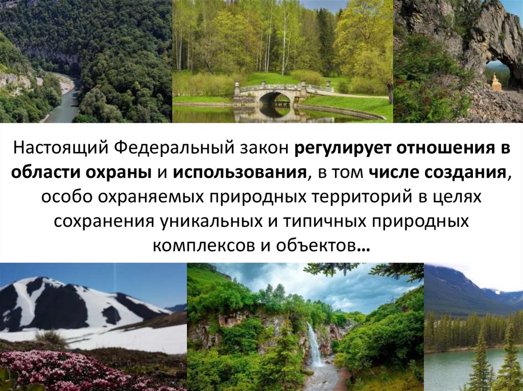 Настоящий Федеральный закон регулирует отношения в области охраны и использования, в том числе создания, особо охраняемых