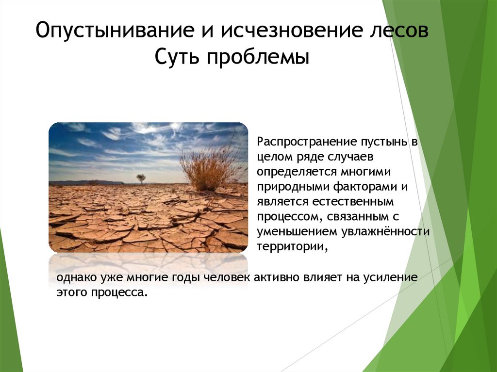 Опустынивание и исчезновение лесов Суть проблемы