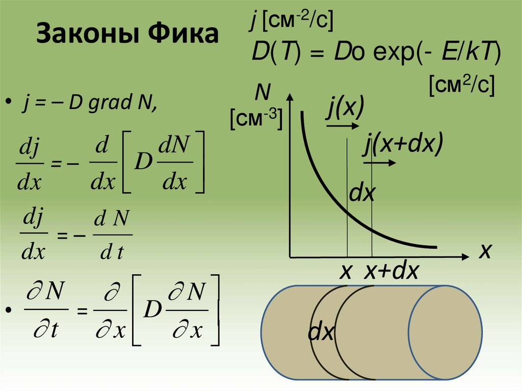 Законы Фика