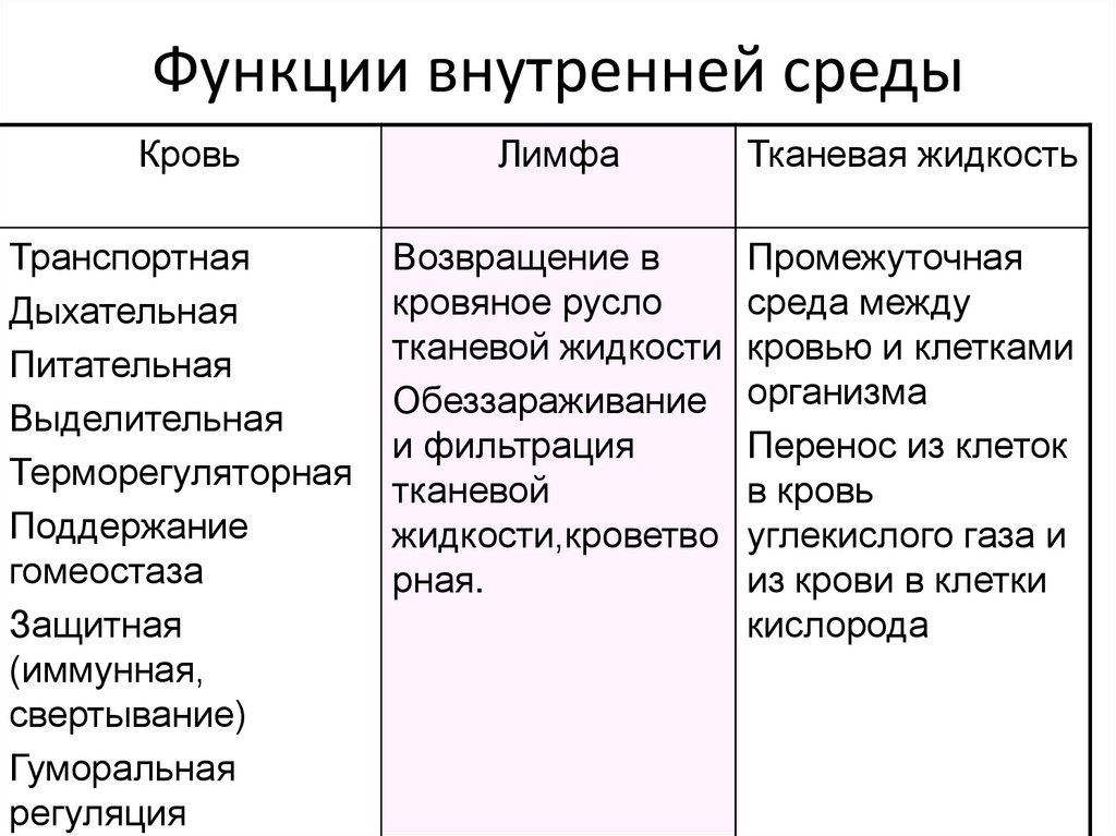 Функции внутренней среды