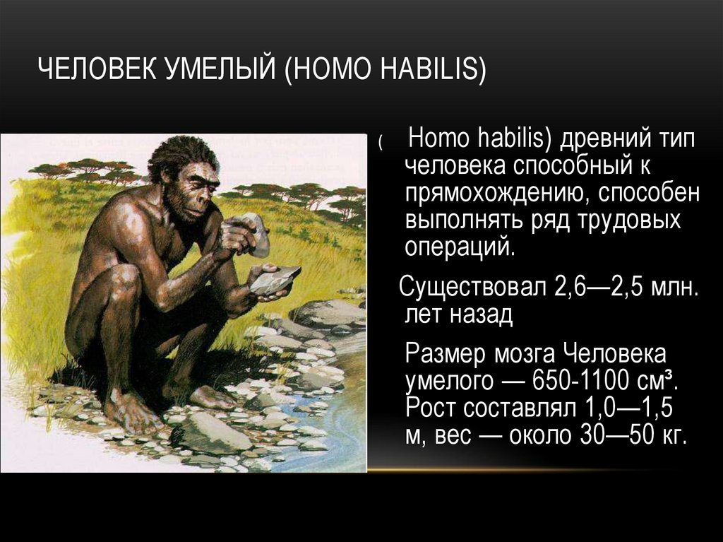 Человек умелый (Homo habilis)