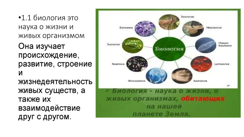 1.1 биология это наука о жизни и живых организмом
