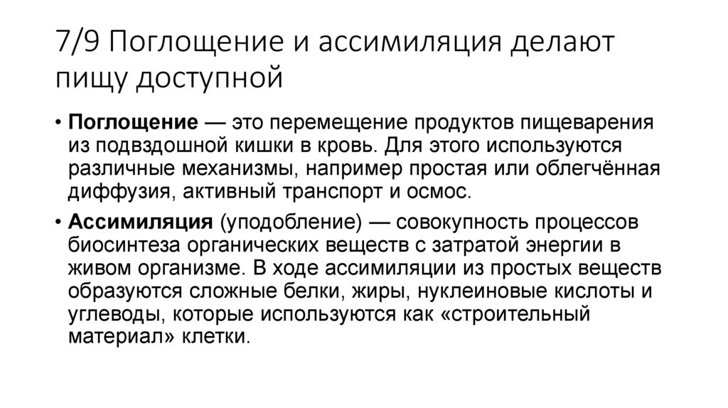7/9 Поглощение и ассимиляция делают пищу доступной