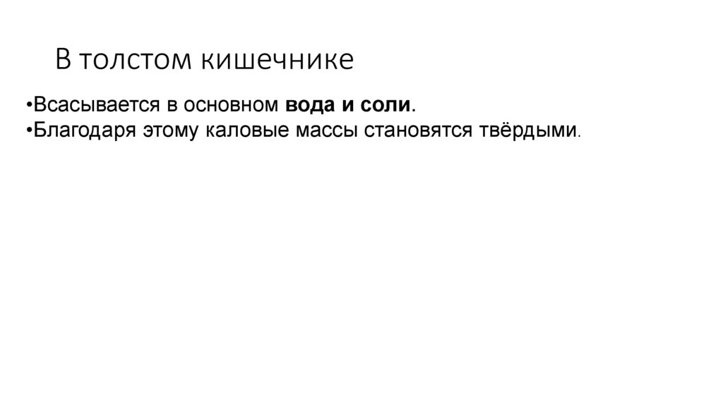 В толстом кишечнике